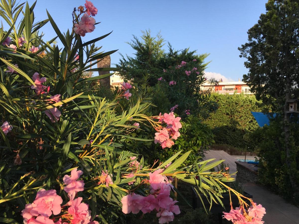 Villa Alessia 昂蒂布 外观 照片